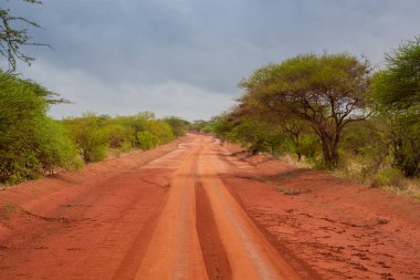 Savannah Kenya üzerinden kırmızı toprak yol