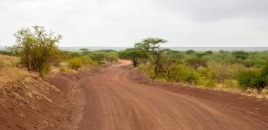 Manzara Kenya, milli parkın içinden yol