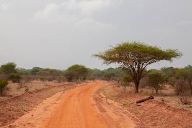 Yol kırmızı toprak, peyzaj Afrika, Kenya Safari ile