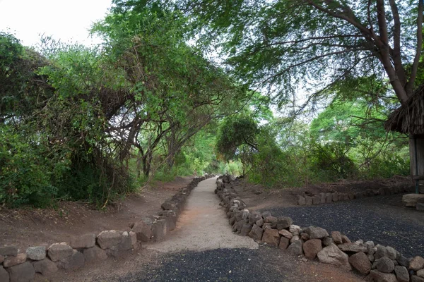 Mzima Springs, táj, a kenyai út — Stock Fotó