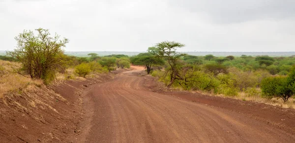 Paysage au Kenya, route à travers le parc national — Photo