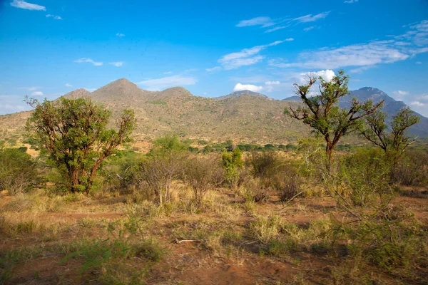 Paysage du Kenya, collines et arbres avec un ciel bleu — Photo