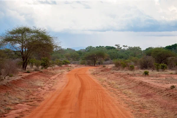 Paysage avec un chemin rouge à travers la savane du Kenya — Photo