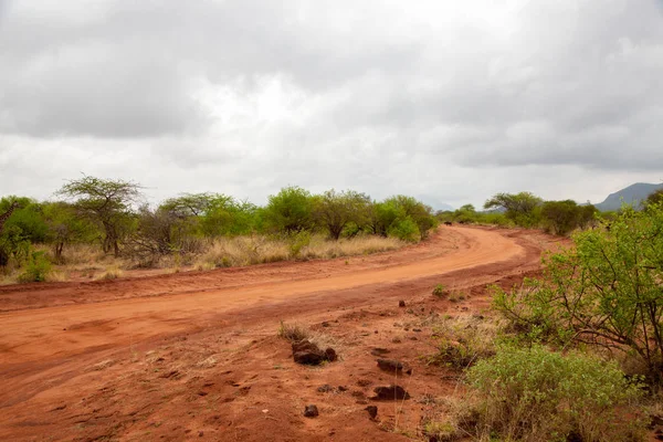Paysage de la savane, safari au Kenya, chemin de terre rouge — Photo