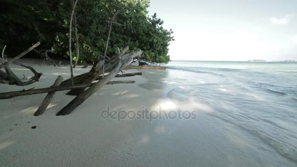 Onde Una Spiaggia Abbandonata — Video Stock