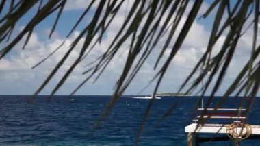 Sürat teknesi adaya gelir