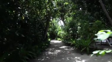 Adada bir yol