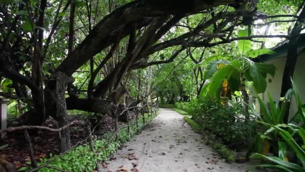 Passerelle sur l'île — Video