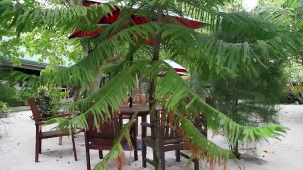 Bir ada üzerinde küçük bir kafe — Stok video