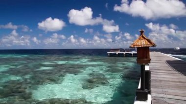 Adaya görüntülemek