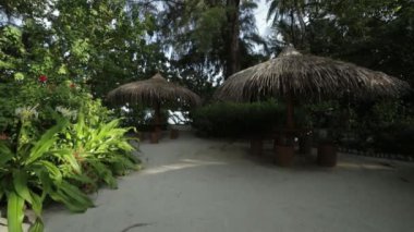 Bir sürü bitki arasında adada yerel bir mobilya