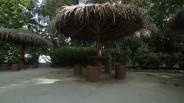 Bir sürü bitki arasında adada yerel bir mobilya