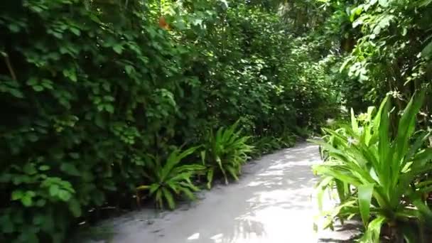 Pathway à travers l'île  