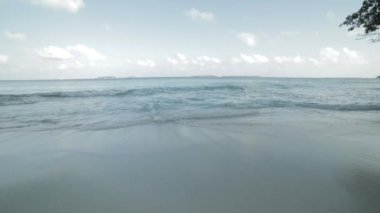 Terk edilmiş bir sahilde dalgalar 