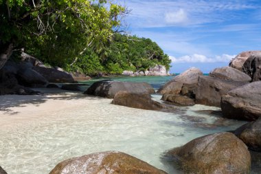 Bir sürü yeşil bitkiler ile sahilde büyük taşlar 