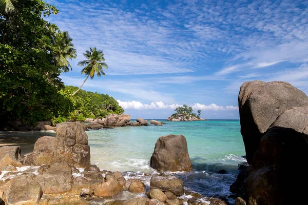 Великі камені на пляжі з великою кількістю зелених рослин — стокове фото