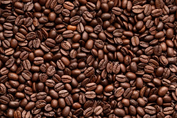 A background from coffee beans, roasted beans — 스톡 사진