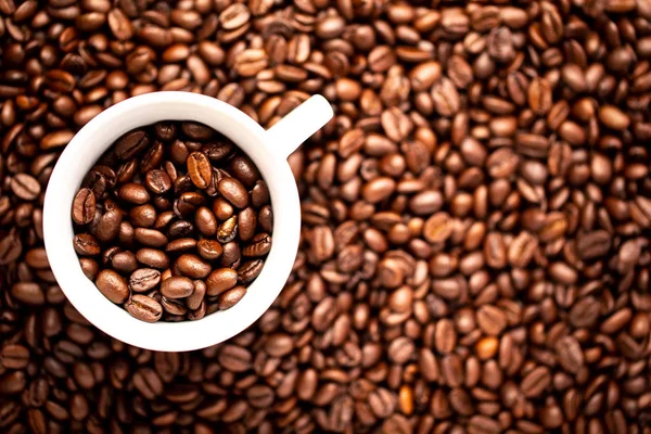 White cup with coffee beans on a background of coffee beans — 스톡 사진