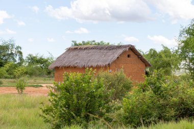 Madagaskar 'daki bir tarladaki ev.
