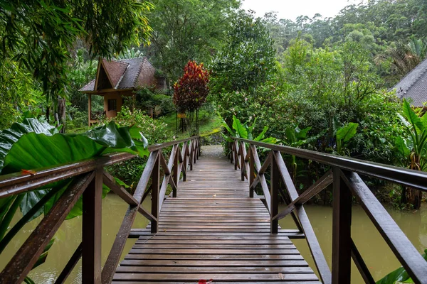 One small wooden bridge over a small river in a rainforest in Madagascar