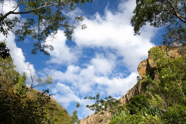 The Mountains covered with plants and a blue sky with small clouds