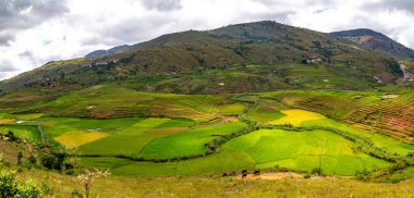 Madagaskar adasının manzara görüntüleri.