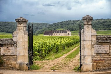 Chateau üzüm bağları, Burgundy, Fransa ile