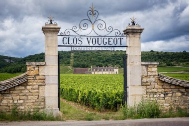 Chateau üzüm bağları, Burgundy, Fransa ile