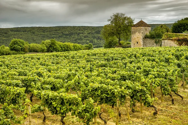 Castello con vigneti, Borgogna, Francia — Foto Stock