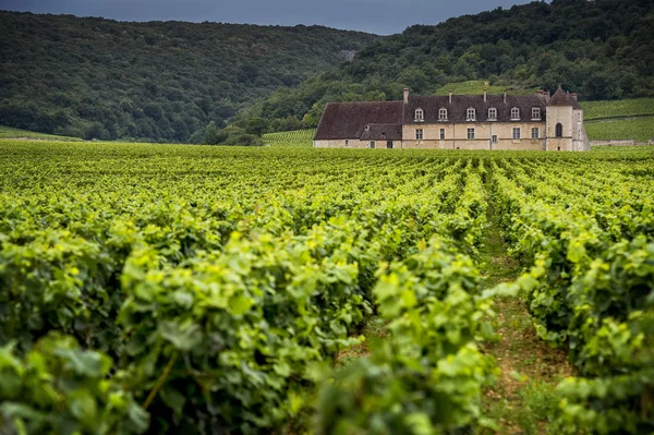 Chateau med vingårdar, Burgundy, Frankrike — Stockfoto