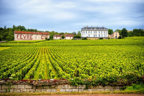 Kasteel met wijngaarden, Bourgogne, Frankrijk — Stockfoto