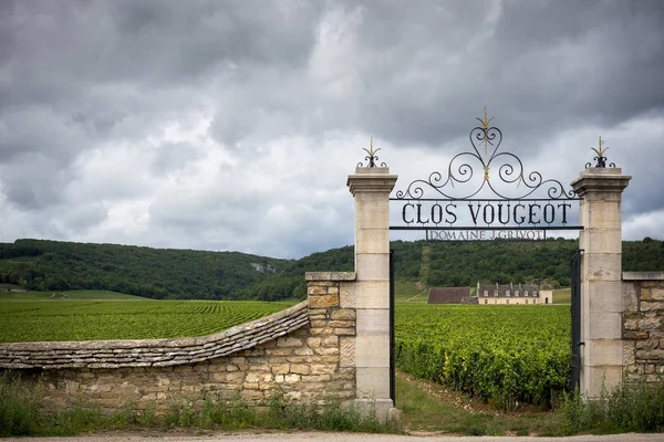 Schloss mit Weinbergen, Burgund, Frankreich — Stockfoto