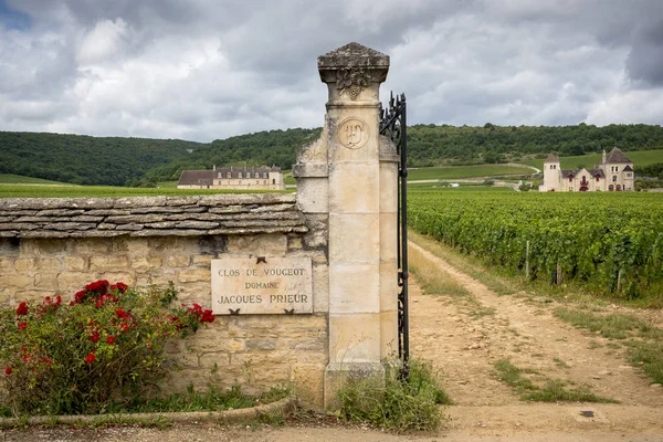 Schloss mit Weinbergen, Burgund, Frankreich — Stockfoto