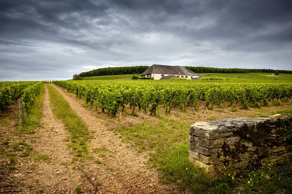 Chateau com vinhas, Borgonha, França — Fotografia de Stock