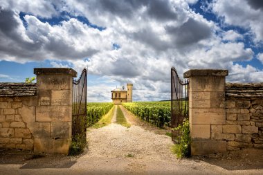 Chateau üzüm bağları, Burgundy, Fransa ile