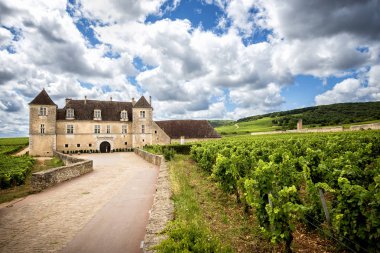 Chateau üzüm bağları, Burgundy, Fransa ile