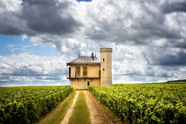 Chateau com vinhas, Borgonha, França — Fotografia de Stock