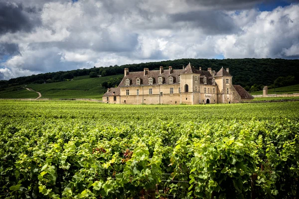 Castello con vigneti, Borgogna, Francia — Foto Stock