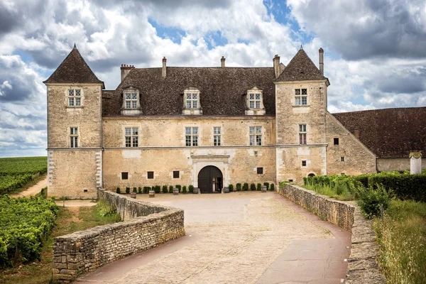 Chateau üzüm bağları, Burgundy, Fransa ile — Stok fotoğraf