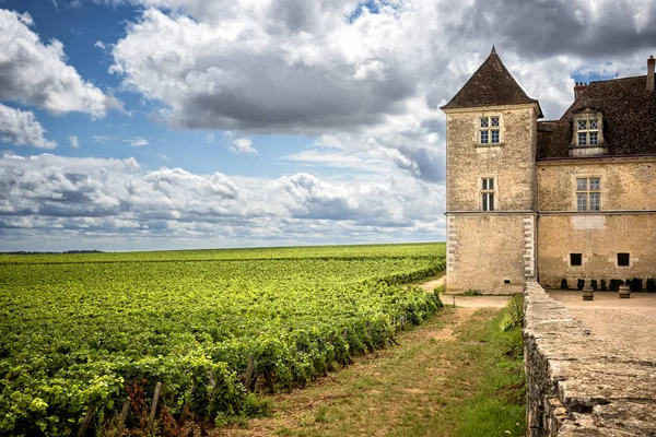 Castillo con viñedos, Borgoña, Francia —  Fotos de Stock