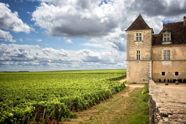 Schloss mit Weinbergen, Burgund, Frankreich — Stockfoto