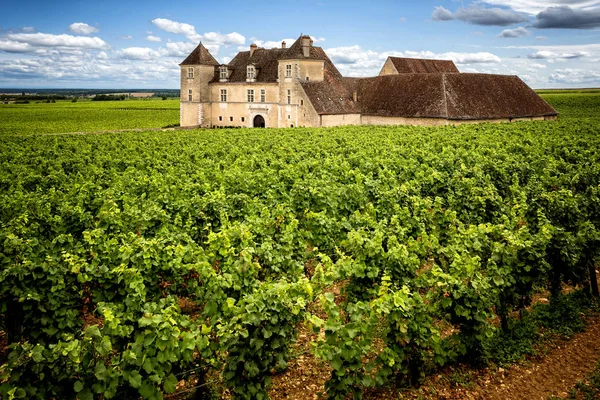Castello con vigneti, Borgogna, Francia — Foto Stock