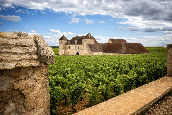 Kasteel met wijngaarden, Bourgogne, Frankrijk — Stockfoto