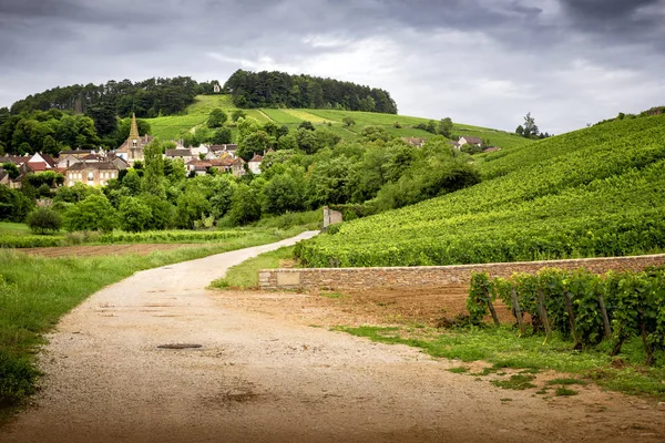 Borgonha. Estrada nas vinhas que levam à aldeia de Pernand-Vergelesses em Cte de Beaune. França — Fotografia de Stock