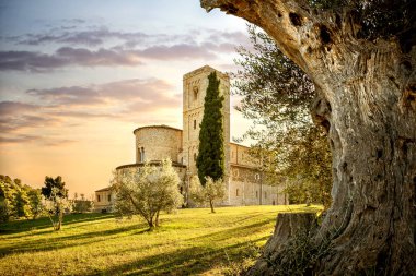 Abbey Sant'Antimo Montalcino, Toskana, İtalya 