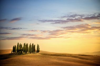 San Quirico D'Orcia, Tuscany / San Quirico d'Orcia, selvi ünlü grup yakınındaki Toskana İtalya güzel manzara ağaçlar yaz gün batımı ışıkta. Val D'Orcia kırsal kesimde yer alan.
