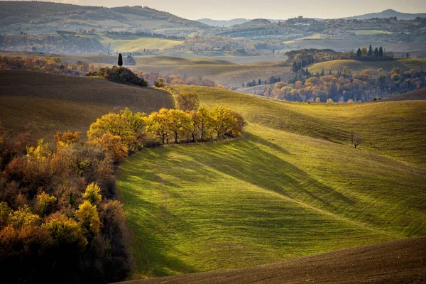 Toscana Val Arbia Val Arbia Val Orcia Possono Trovare Tra — Foto Stock