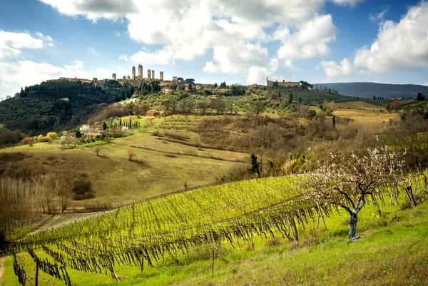 ジミニャーノ中世の町の塔スカイラインや田園風景のパノラマ トスカーナ イタリア ヨーロッパ — ストック写真