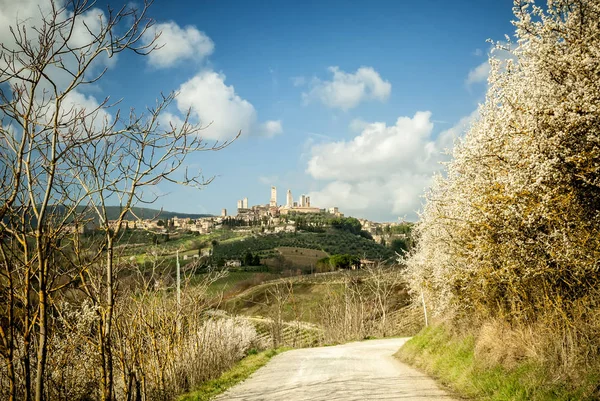 San Gimignano Μεσαιωνική Πόλη Πύργους Ορίζοντα Και Τοπίο Τοπίο Πανόραμα — Φωτογραφία Αρχείου