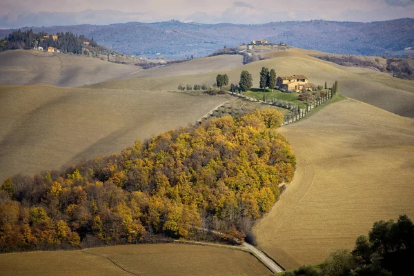 Toscana Val Arbia Paisagem Panorâmica Itália — Fotografia de Stock